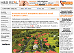 www.hbreal.cz
