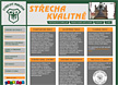 Střecha kvalitně